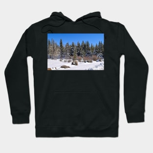 Sibbald Trail. Hoodie